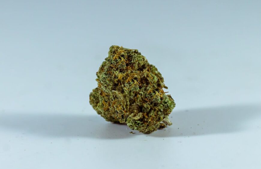 The Intricate Detail of a Sativa Bud