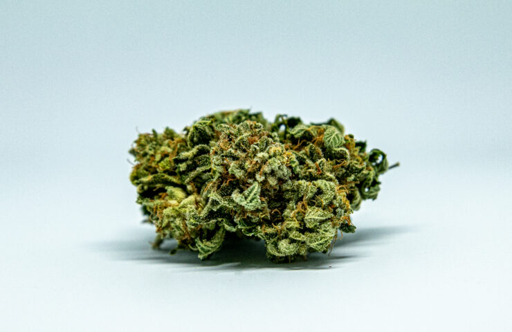Coquitlams Crown Jewel