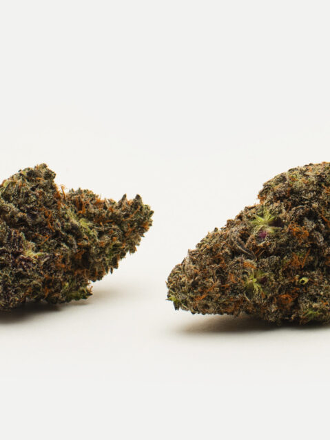 Grape Gummiez (AAAA) - Hybrid - 7g