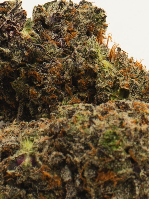 Grape Gummiez (AAAA) - Hybrid - 7g