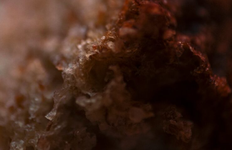 Discovering the Aromatic World of Live Resin