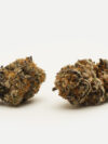 Grease Bubba(AAA) – Hybrid Indica Dominant - 7g -