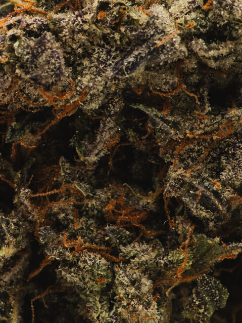 Sour Grapes (AAAA) - 7g - Hybrid