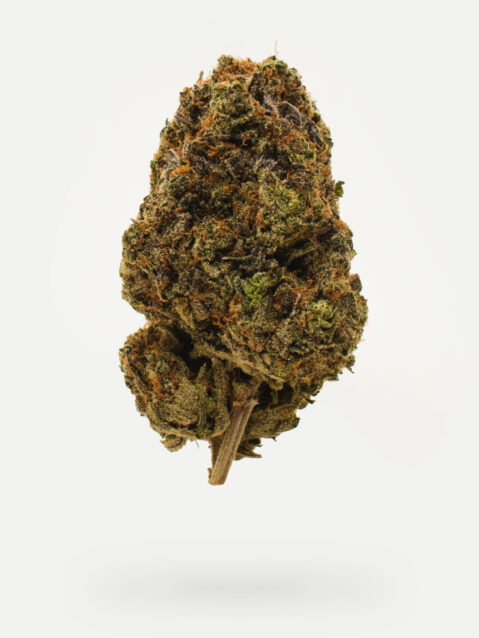 Funky Charms (AAA) - Hybrid -7g-