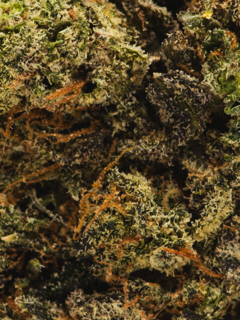 Funky Charms (AAA) - Hybrid -7g-