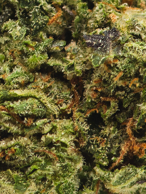 Pink Sorbet(AAA) – Hybrid - 1oz