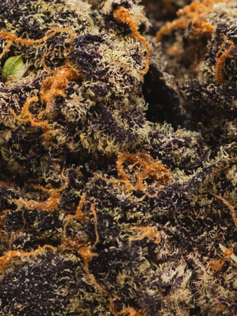 Purple Death Cake(AAAA) – Indica