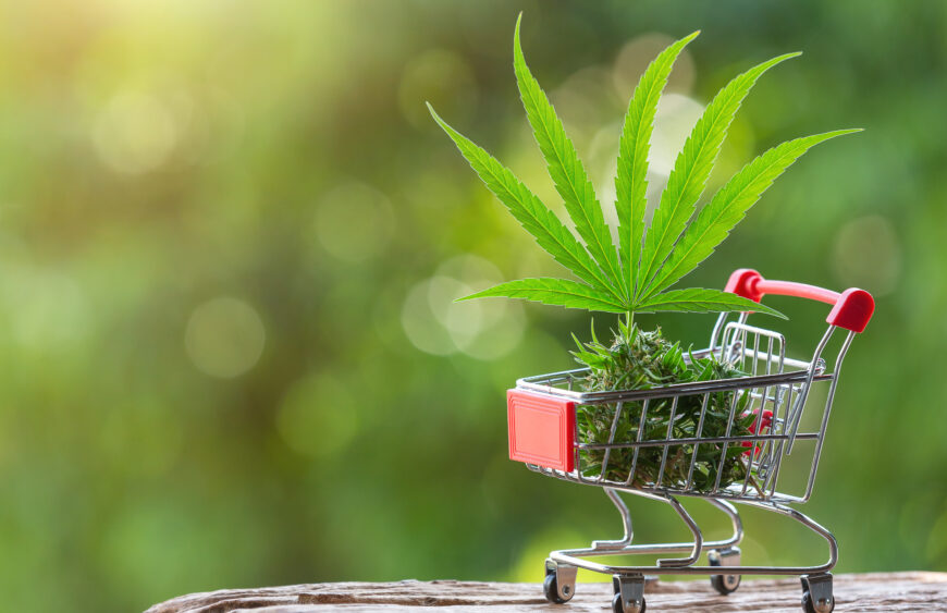 Stock Up on Savings Stonis Cannabis Cart Deals in Vancouver