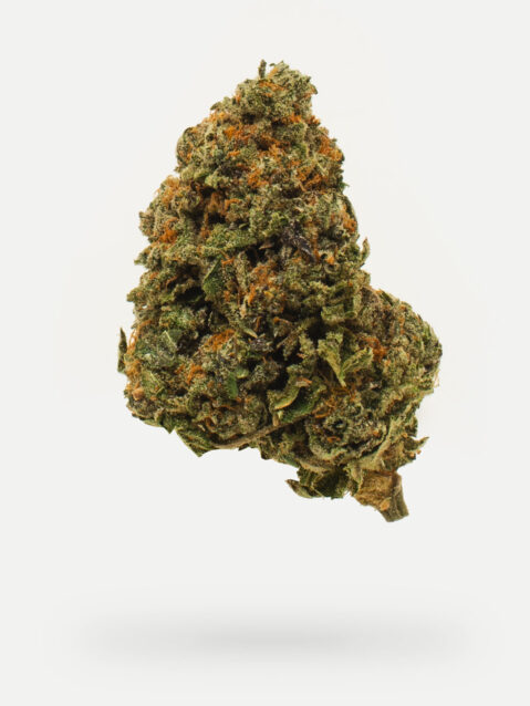 Ice Wine (AAAA) - Hybrid -7g-