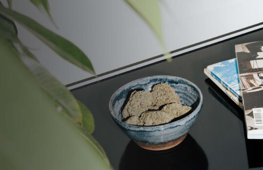 Benefits of Hybrid Cannabis Strains in vancouver   Stoni