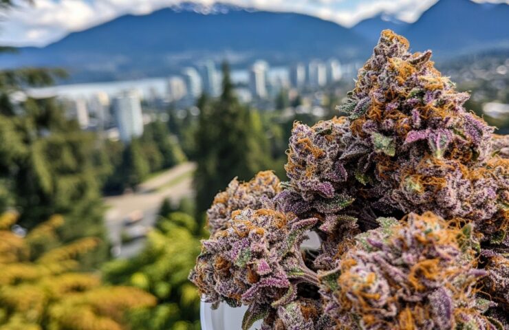 Why Is AAAA Weed Popular in Vancouver?