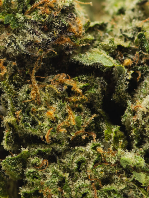 Blackberry Runtz Cake(AAAA) – Hybrid-