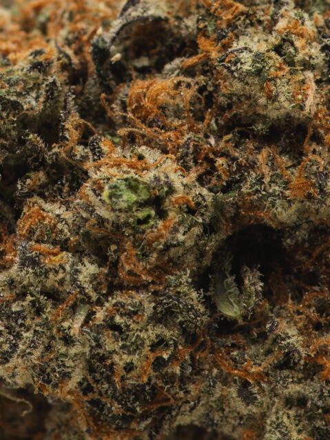 Peanut Butter Rockstar (AAA) – Indica -