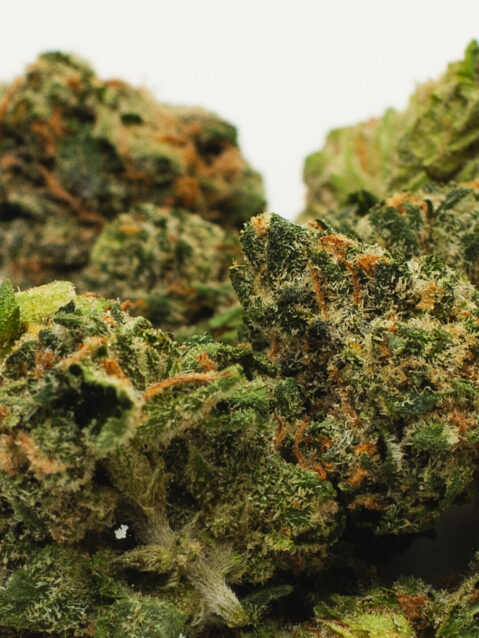 Pine Tar(AAA) – Indica - 1oz