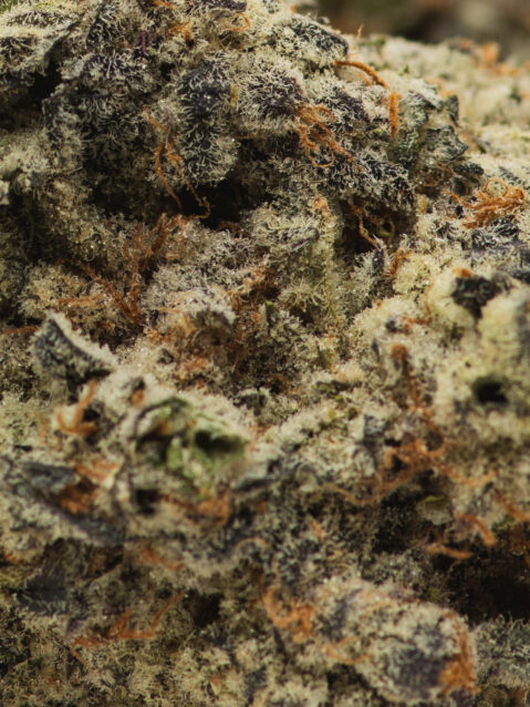 Blackout Bobby(AAA) – Hybrid - 1oz